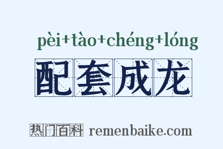 配套成龙是什么意思的图片